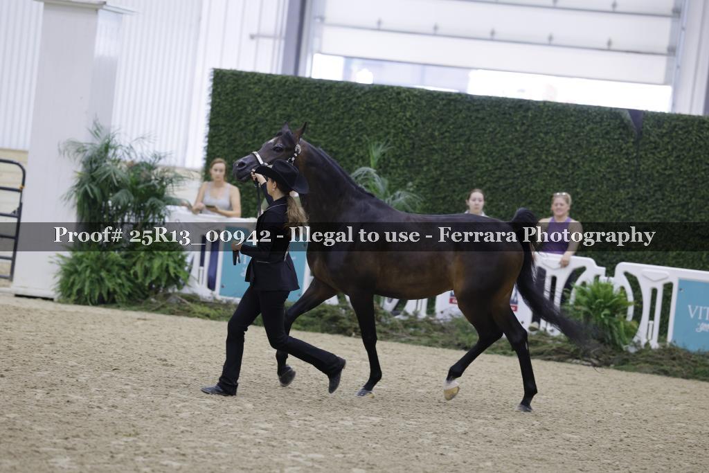 Proof Number 25R13_00942