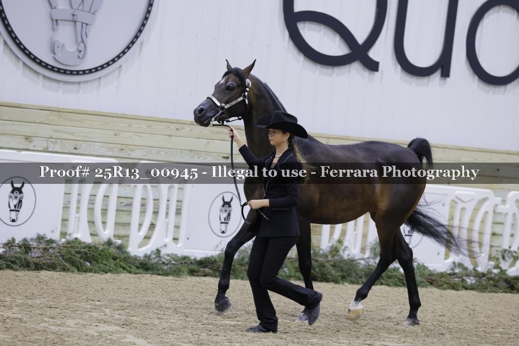 Proof Number 25R13_00945