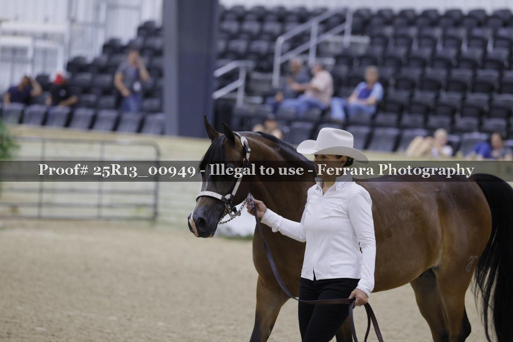 Proof Number 25R13_00949