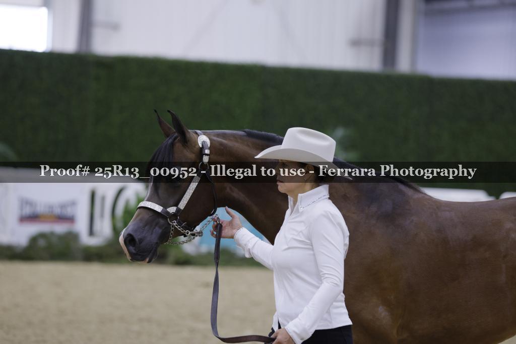 Proof Number 25R13_00952
