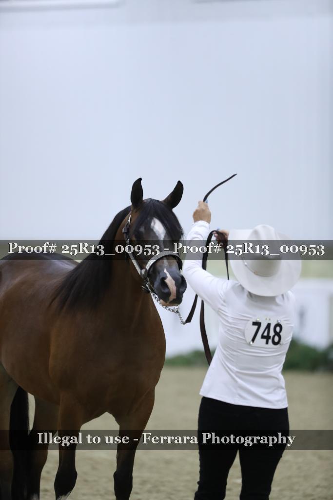 Proof Number 25R13_00953