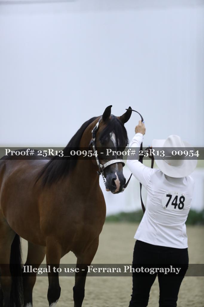 Proof Number 25R13_00954
