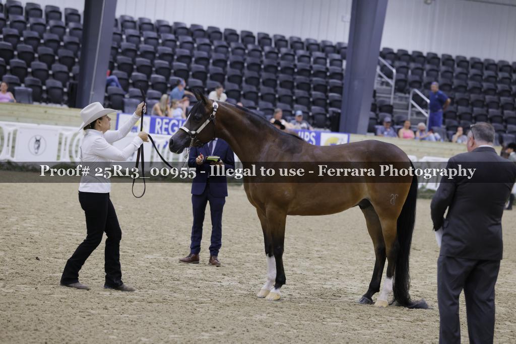 Proof Number 25R13_00955