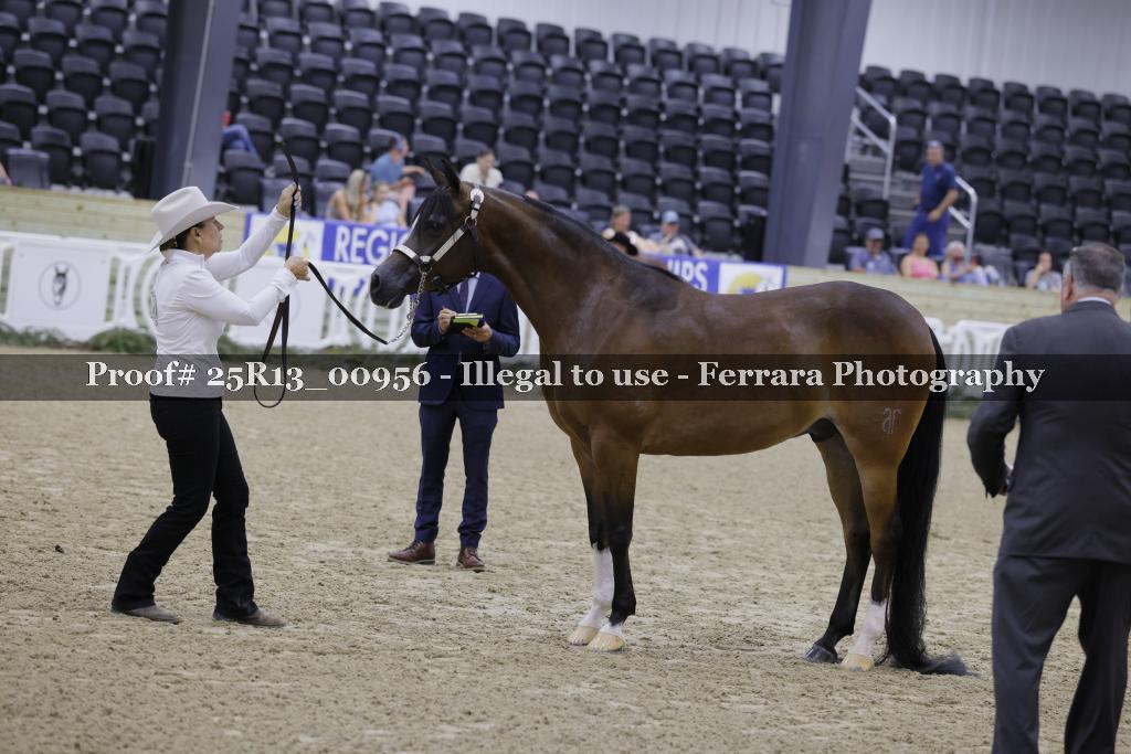 Proof Number 25R13_00956