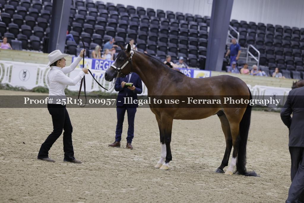 Proof Number 25R13_00957