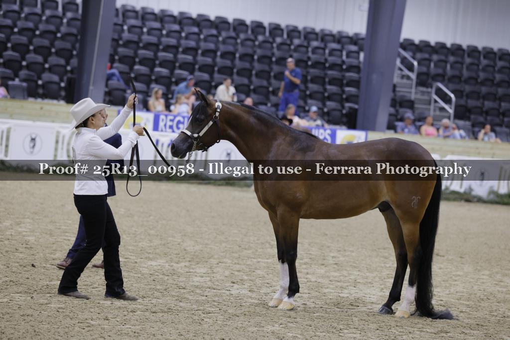 Proof Number 25R13_00958