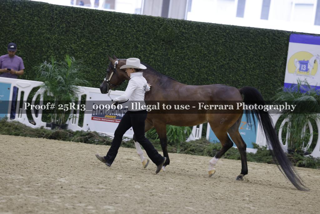 Proof Number 25R13_00960