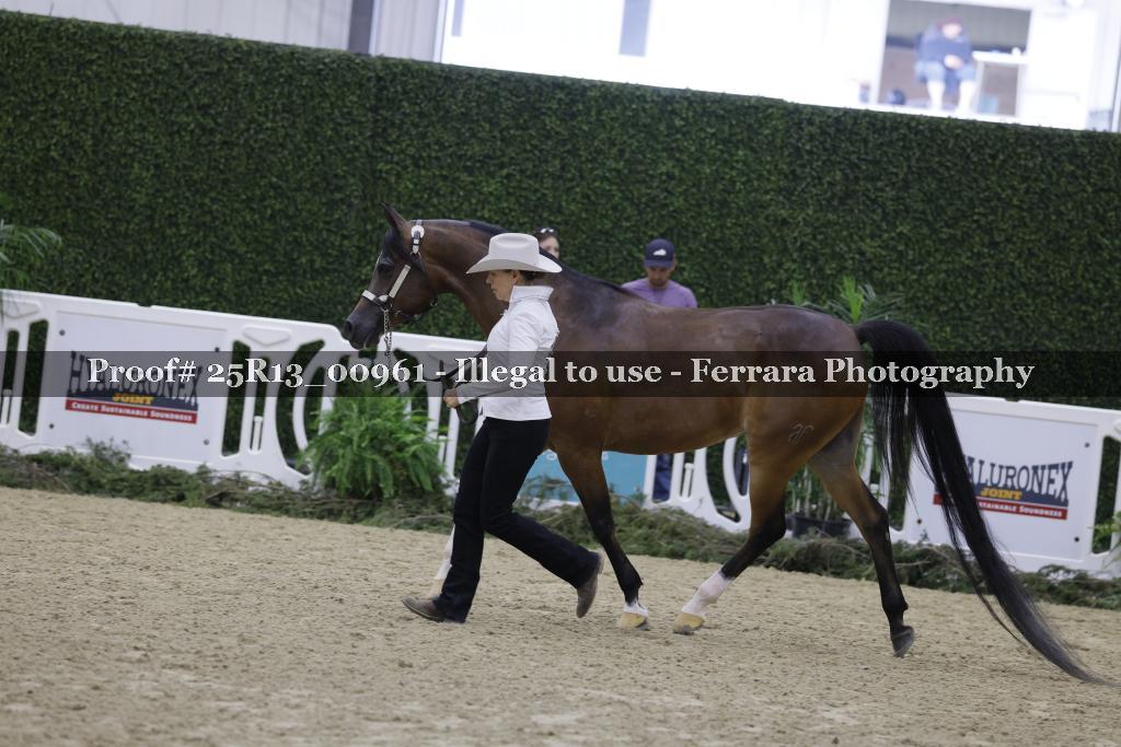 Proof Number 25R13_00961