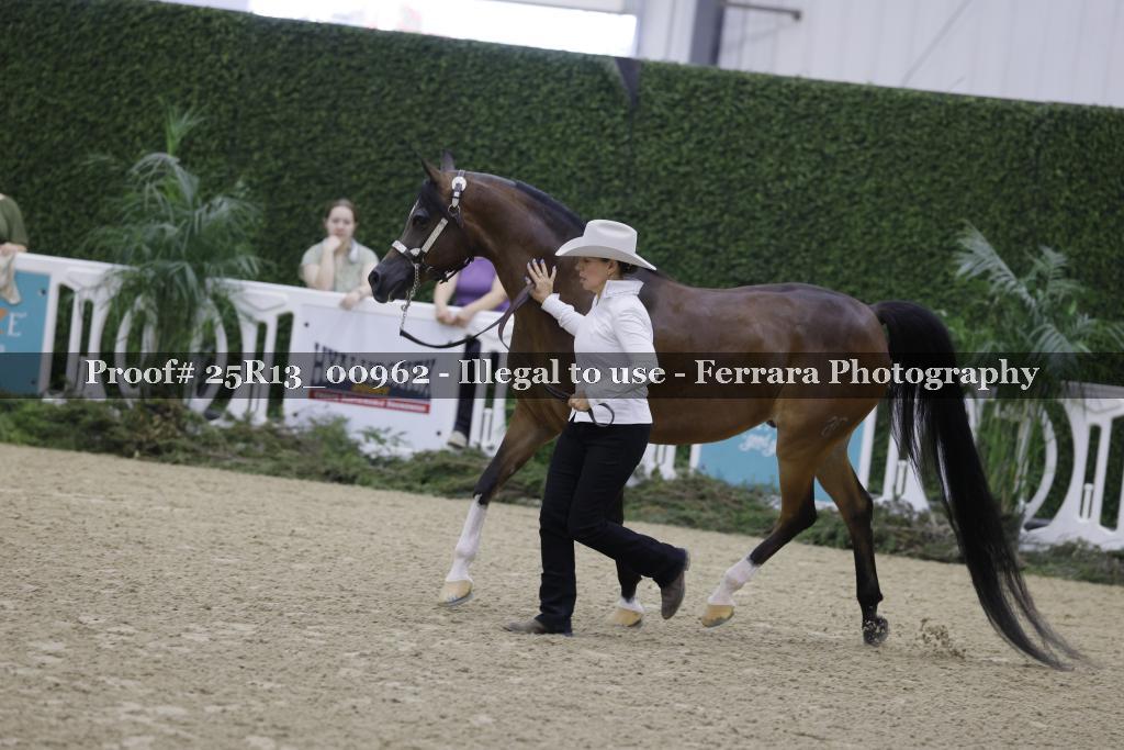 Proof Number 25R13_00962