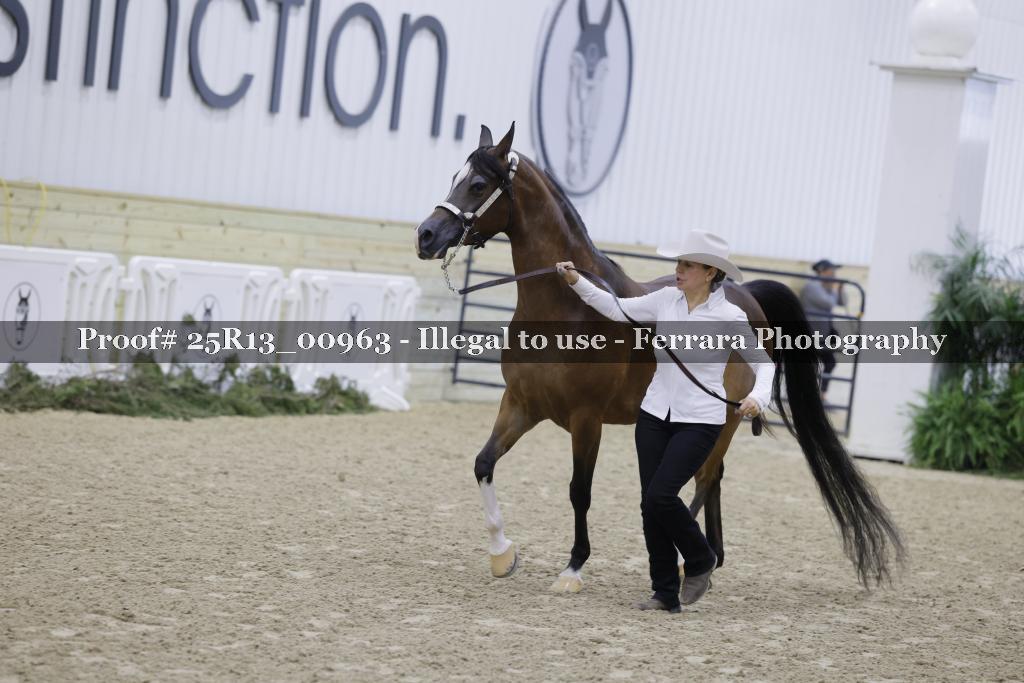 Proof Number 25R13_00963