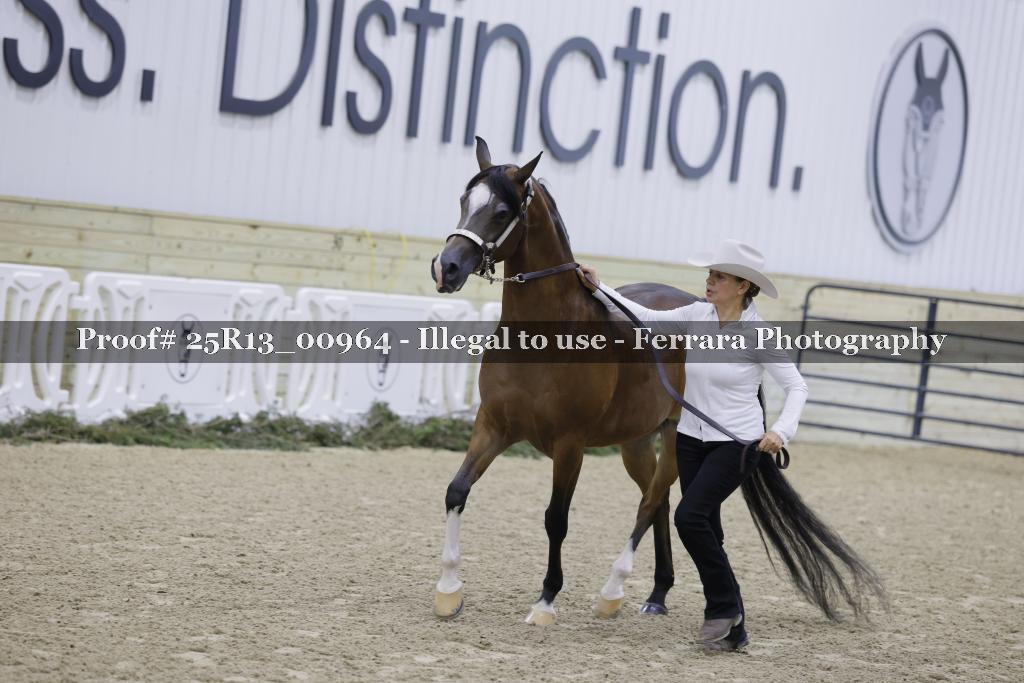 Proof Number 25R13_00964