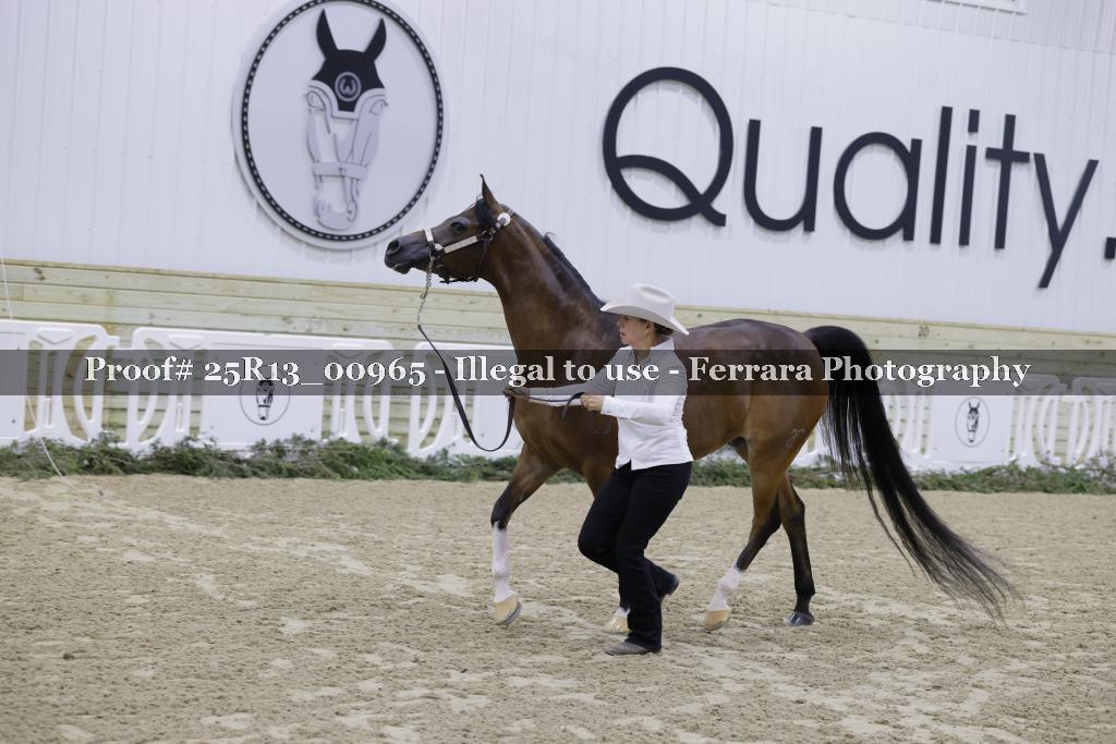 Proof Number 25R13_00965