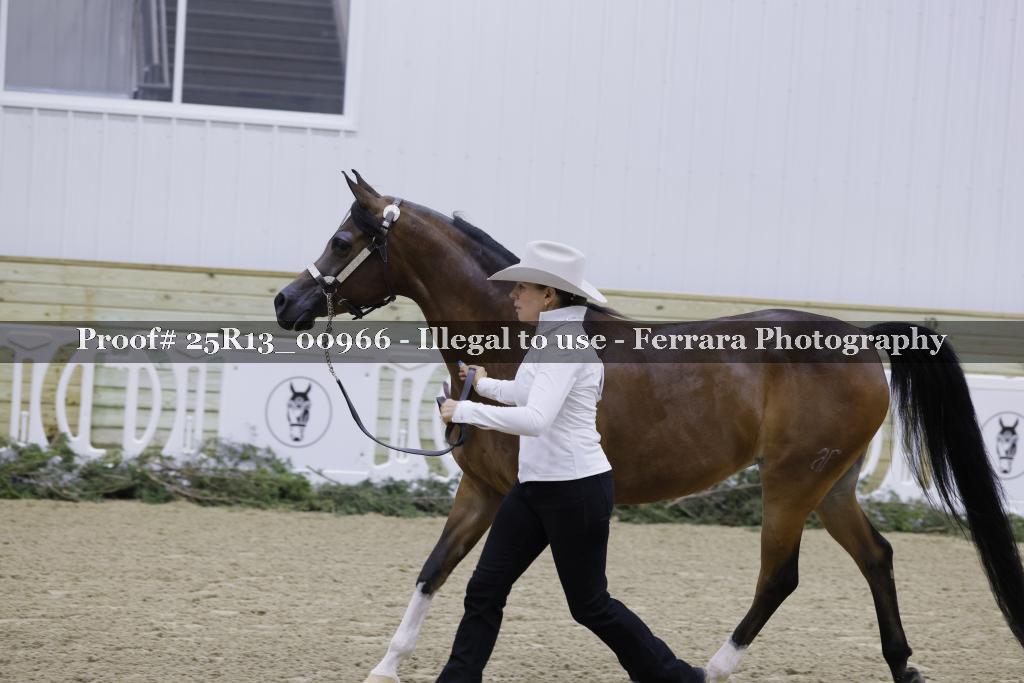 Proof Number 25R13_00966