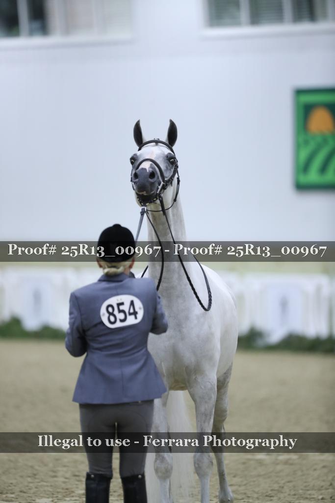 Proof Number 25R13_00967