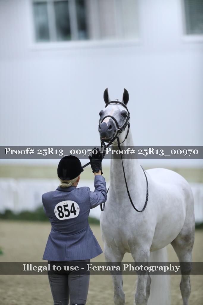 Proof Number 25R13_00970