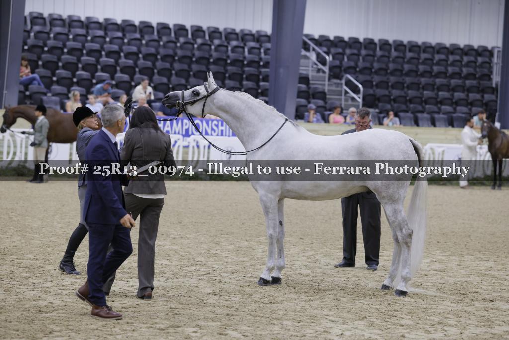 Proof Number 25R13_00974