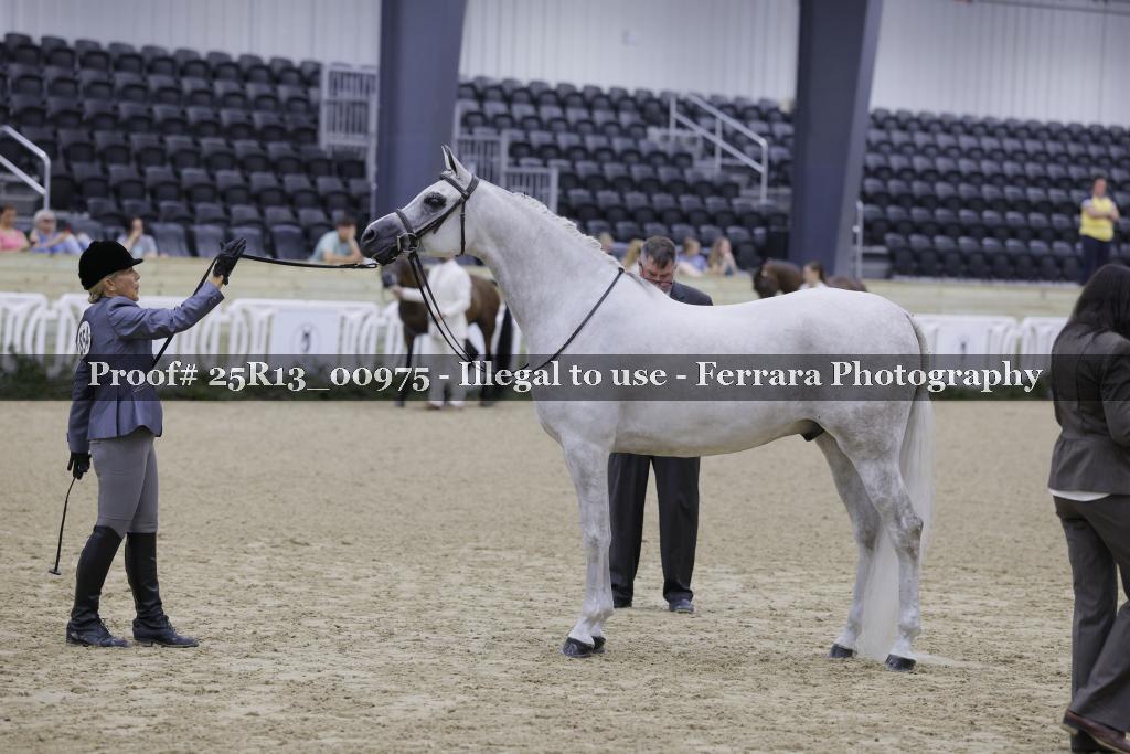 Proof Number 25R13_00975