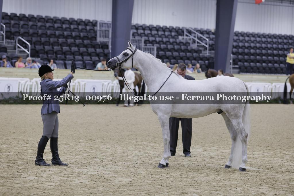 Proof Number 25R13_00976