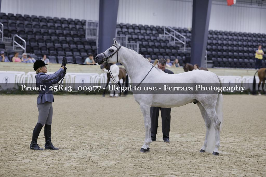 Proof Number 25R13_00977