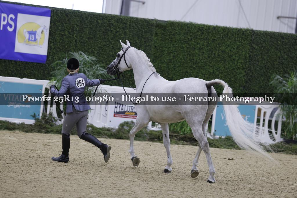 Proof Number 25R13_00980