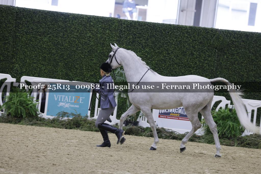 Proof Number 25R13_00982