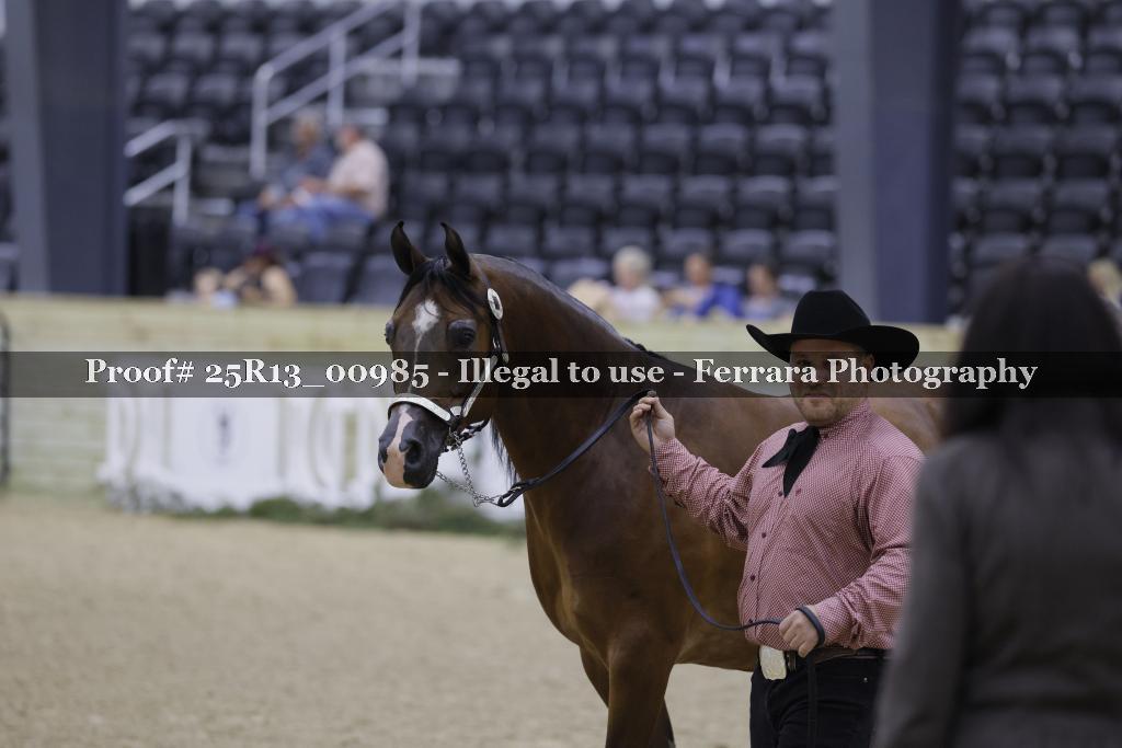 Proof Number 25R13_00985