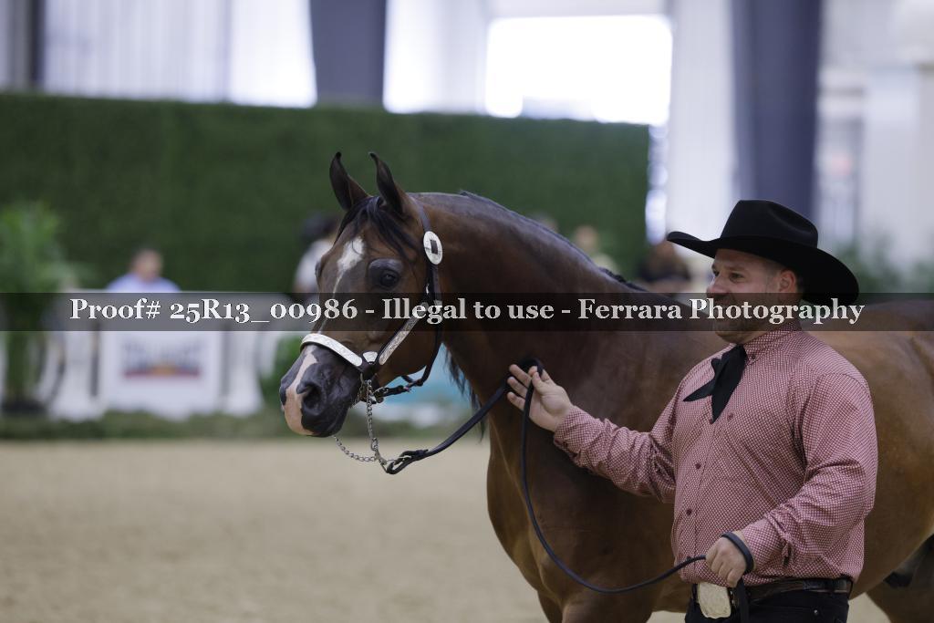 Proof Number 25R13_00986