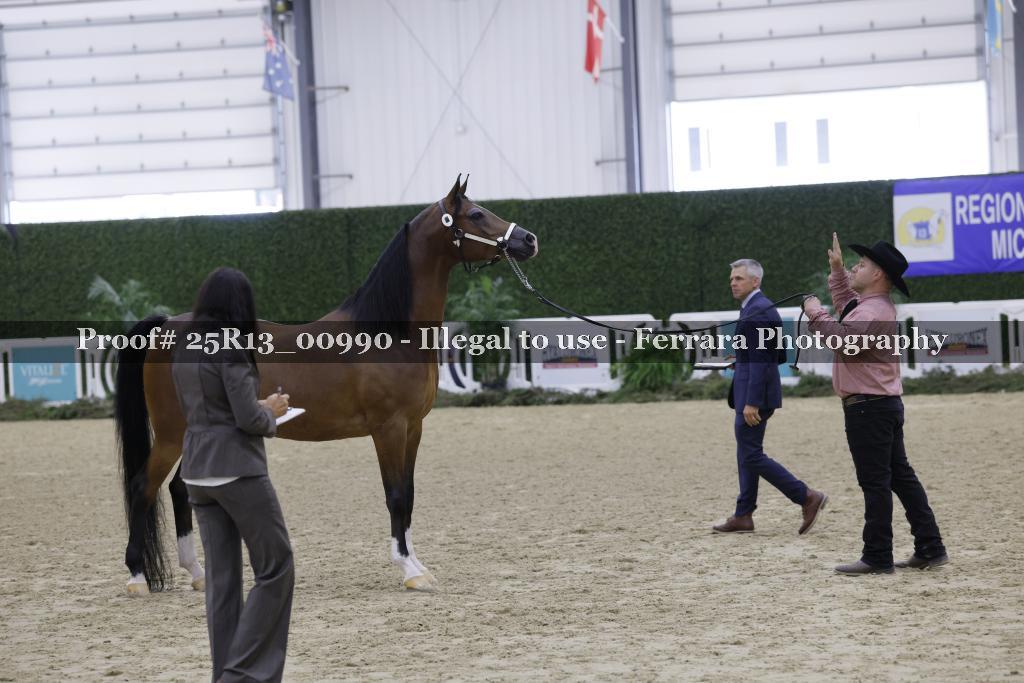 Proof Number 25R13_00990