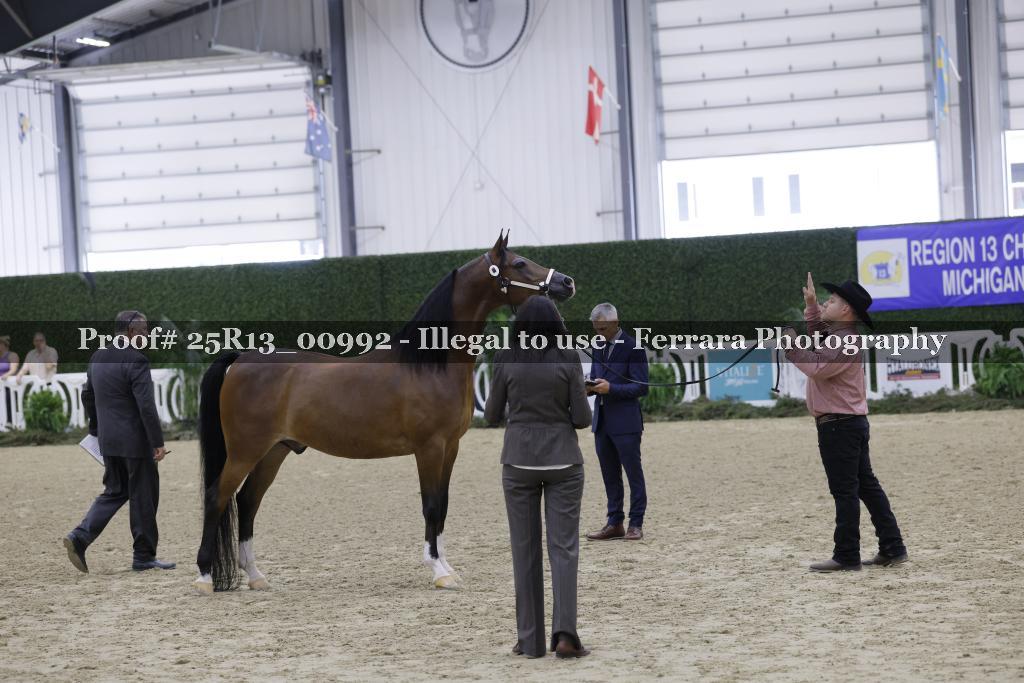 Proof Number 25R13_00992