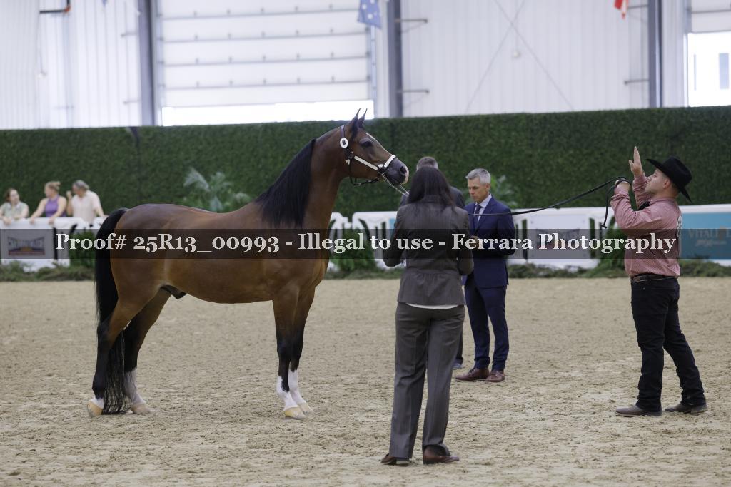 Proof Number 25R13_00993