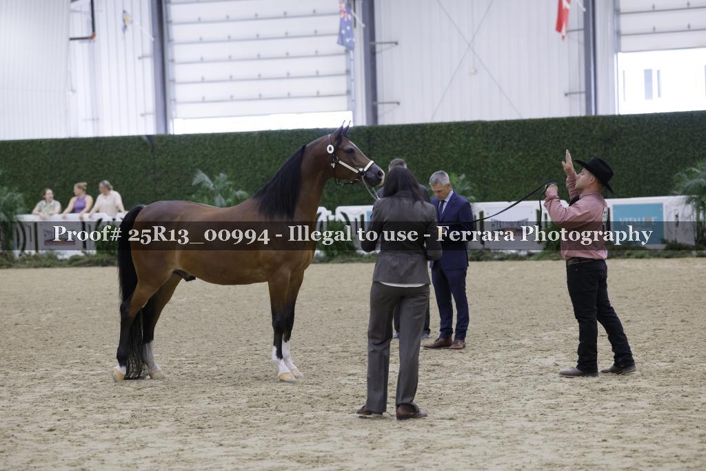 Proof Number 25R13_00994