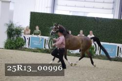 25R13_00996 thumbnail