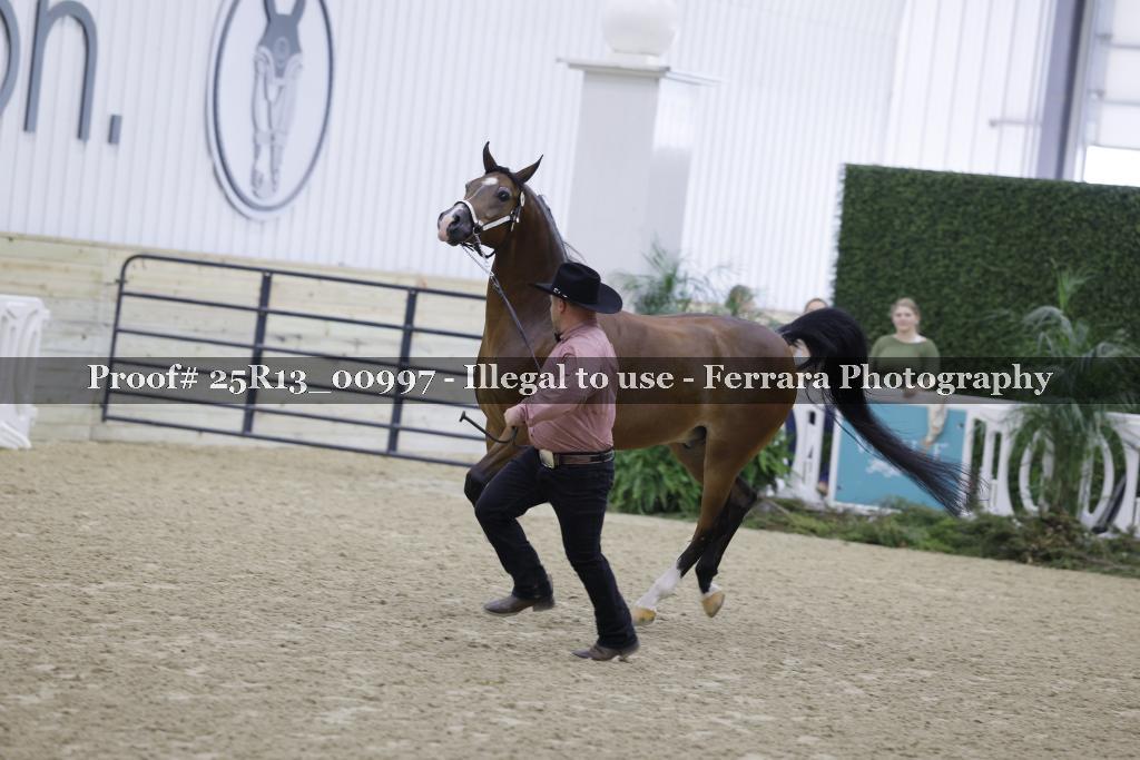 Proof Number 25R13_00997