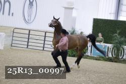 25R13_00997 thumbnail