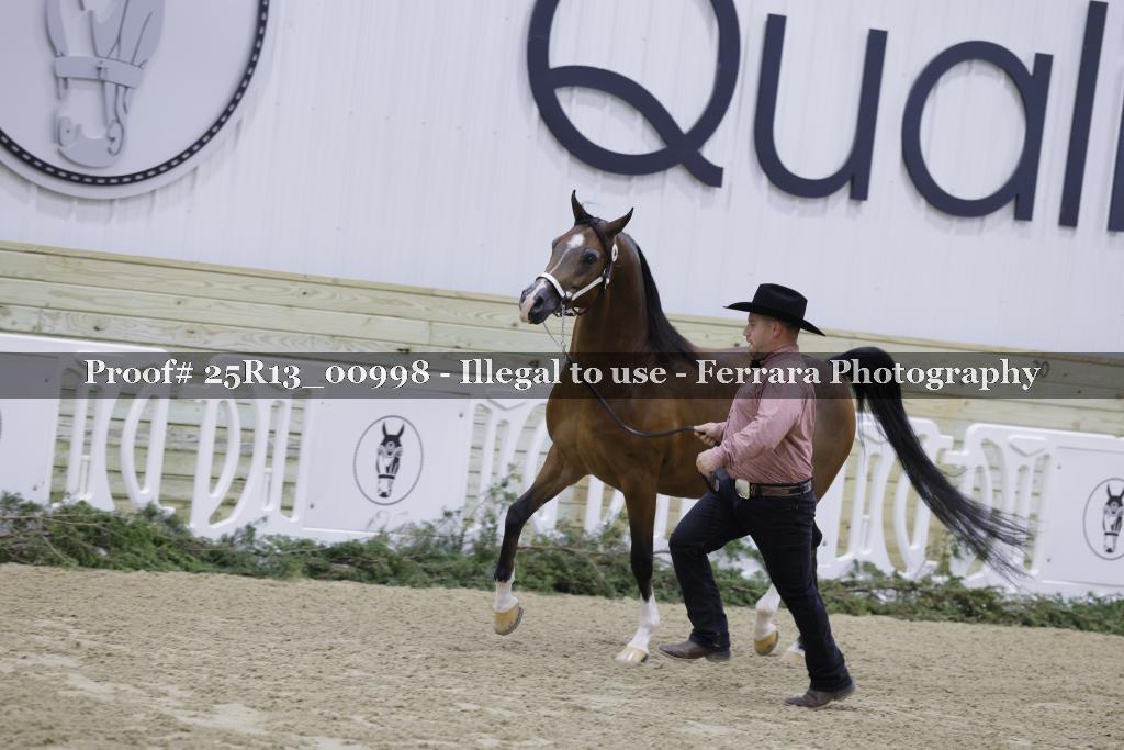 Proof Number 25R13_00998