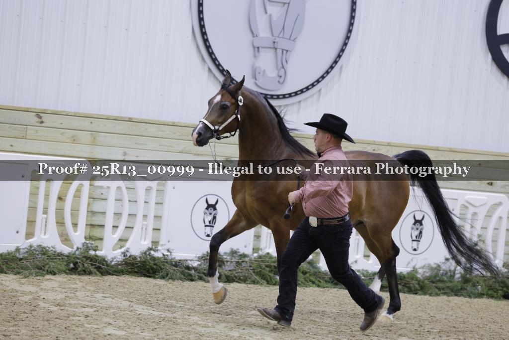 Proof Number 25R13_00999