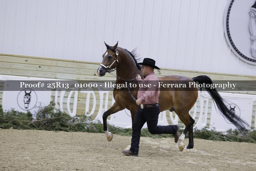 Proof Number 25R13_01000