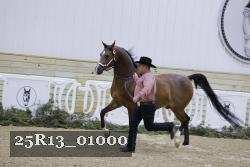 25R13_01000 thumbnail