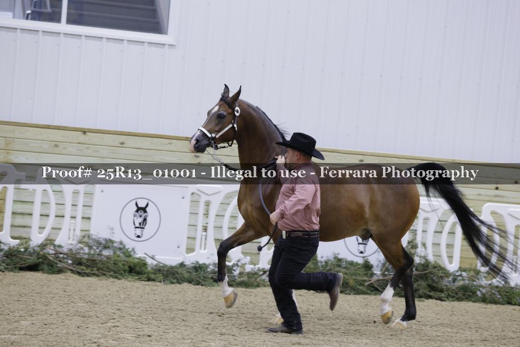 Proof Number 25R13_01001