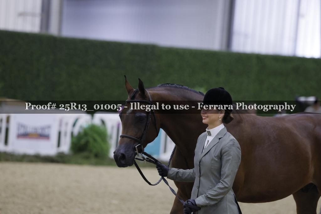 Proof Number 25R13_01005
