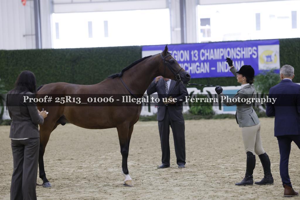 Proof Number 25R13_01006