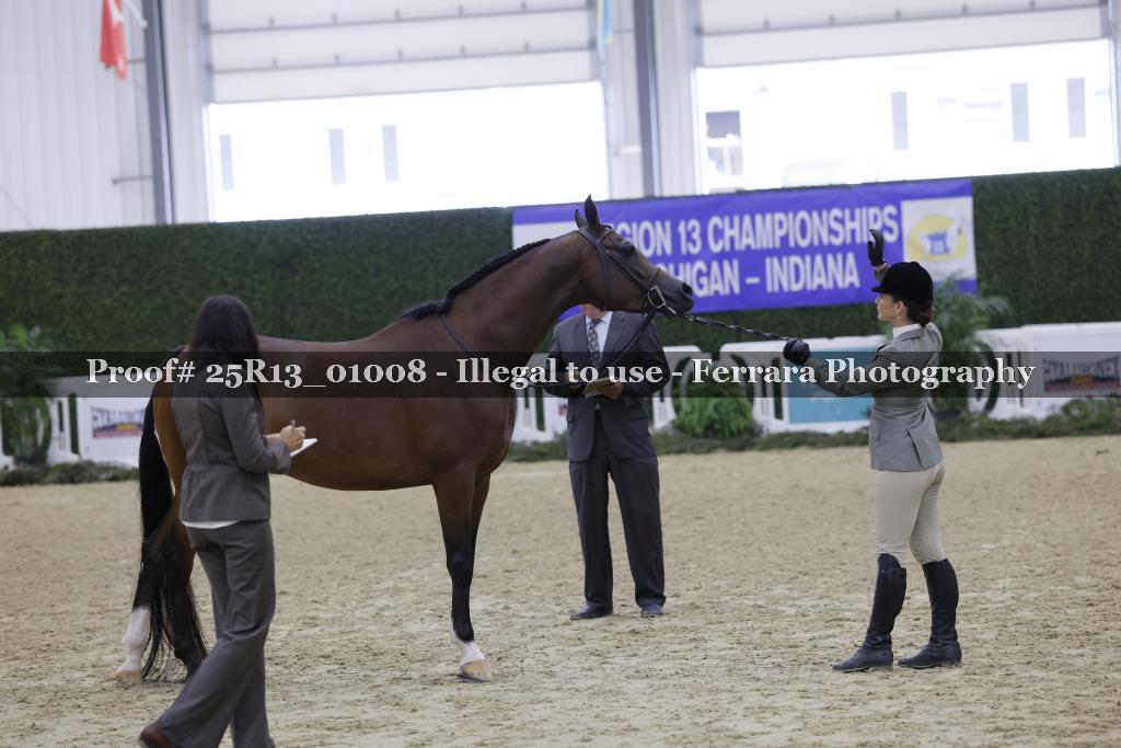 Proof Number 25R13_01008