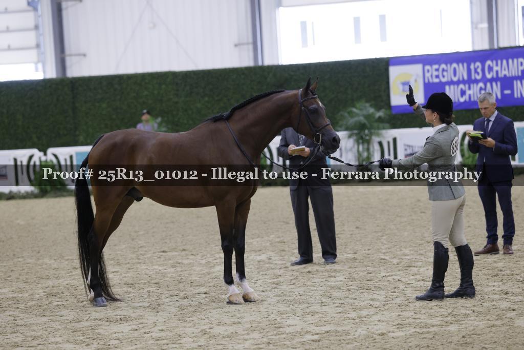 Proof Number 25R13_01012