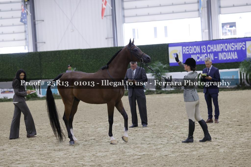 Proof Number 25R13_01013