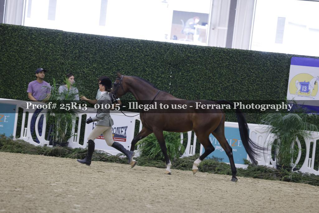 Proof Number 25R13_01015