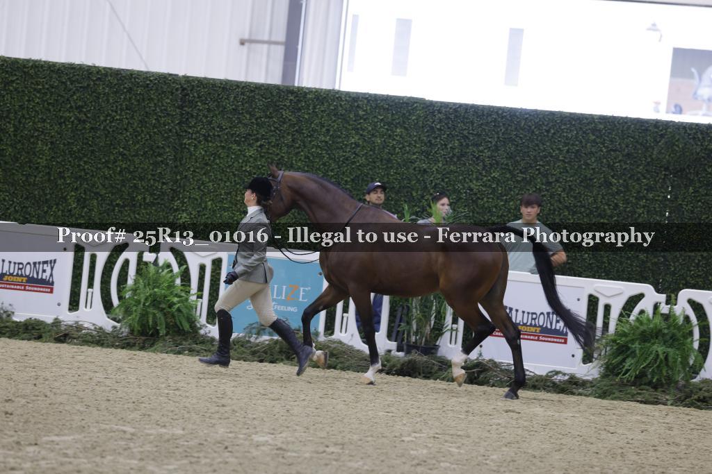 Proof Number 25R13_01016