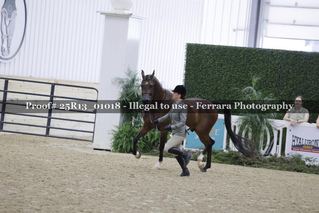 Proof Number 25R13_01018