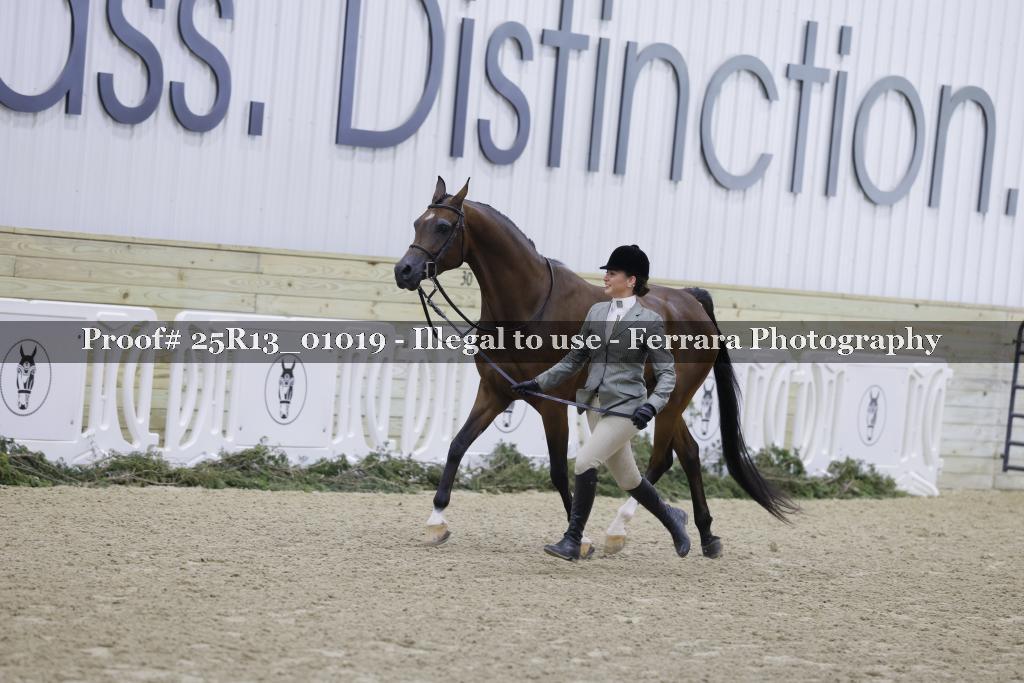 Proof Number 25R13_01019