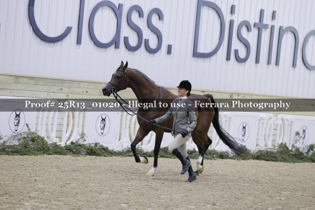Proof Number 25R13_01020