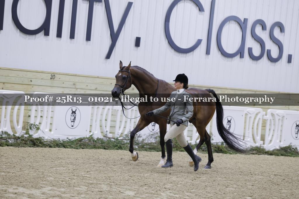 Proof Number 25R13_01021